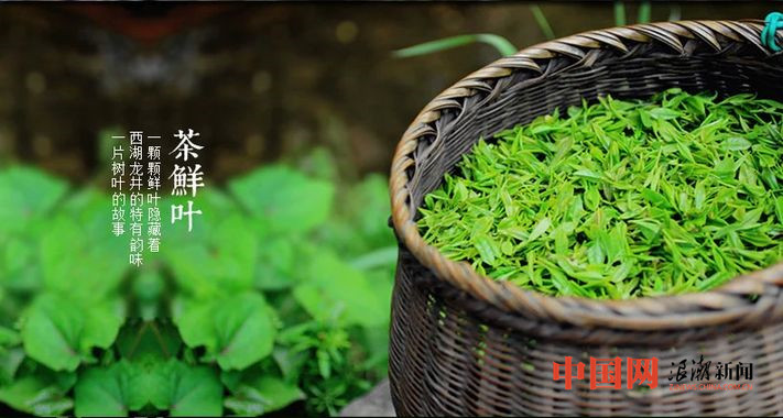 贝博app下载中国十大茶叶品牌发布 西湖龙井等品牌上榜